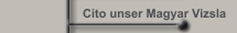 Cito unser Magyar Vizsla