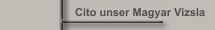 Cito unser Magyar Vizsla